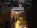 A Lego Game With Boss Fights, Bro What?! 😮🐢 #legobatmanlegacyofthedarkknight
