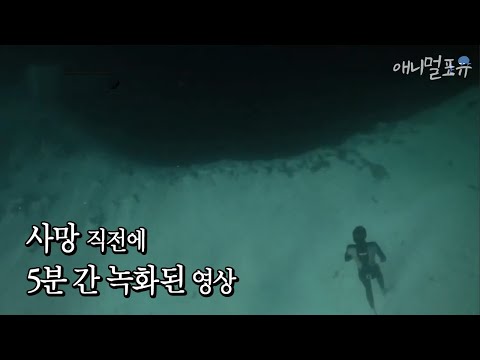   ENG CC 지구의 미스테리 블루홀 그리고 그곳에 간 다이버가 촬영한 영상 속 괴생명체 KBS 스펀지 120323 방송