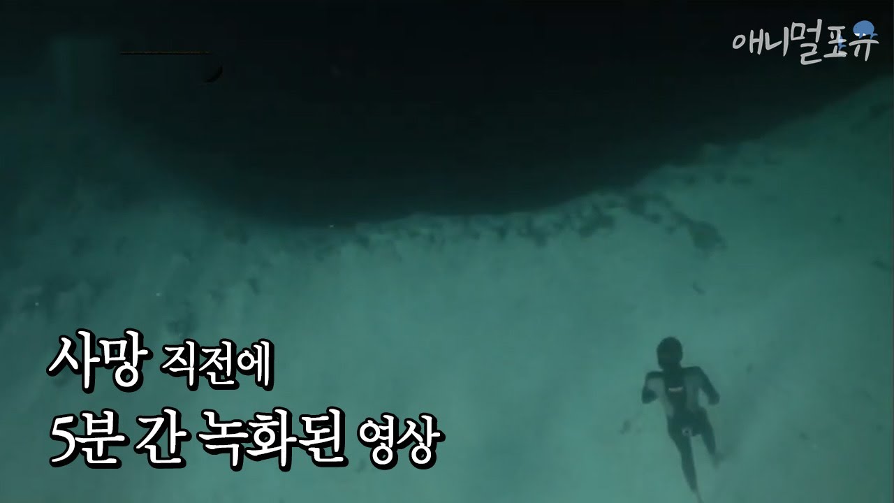 (ENG CC) 지구의 미스테리 블루홀, 그리고 그곳에 간 다이버가 촬영한 영상 속 괴생명체? | KBS 스펀지 120323 방송