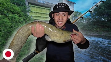 Bất Ngờ Câu Dính Cá Lớn Ở Sông Nhật Bản