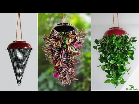 Indoor Hanging Planters to Refresh Your Home | Hanging Plants & Hanging Planter Making//GREEN