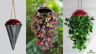 Indoor Hanging Planters to Refresh Your Home | Hanging Plants & Hanging Planter Making//GREEN PLANTS