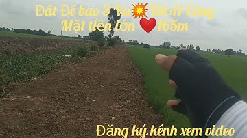 Đât Đê 3 Vu💥Mt lớn 165m,Tdt:11 Công,Gia:❤️85tr/1 Công,thi xa kiên tương LA
