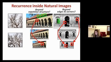 Prof Michal Irani on "Deep Internal learning -- Deep Visual Inference without prior examples"