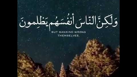 القارئ أحمد العجمي || سورة يونس || إن الله لا يظلم الناس شيئا ولكن الناس أنفسهم يظلمون