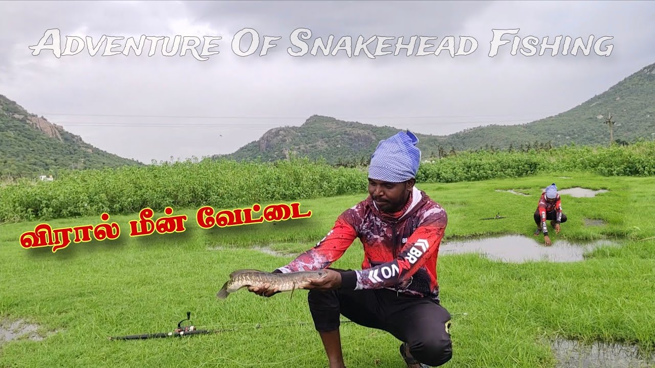 ADVENTURE OF SNAKEHEAD FISHING ON LAKE ‼️TOP WATER BASS FISHING | viraleen vettai #fishing #tamil