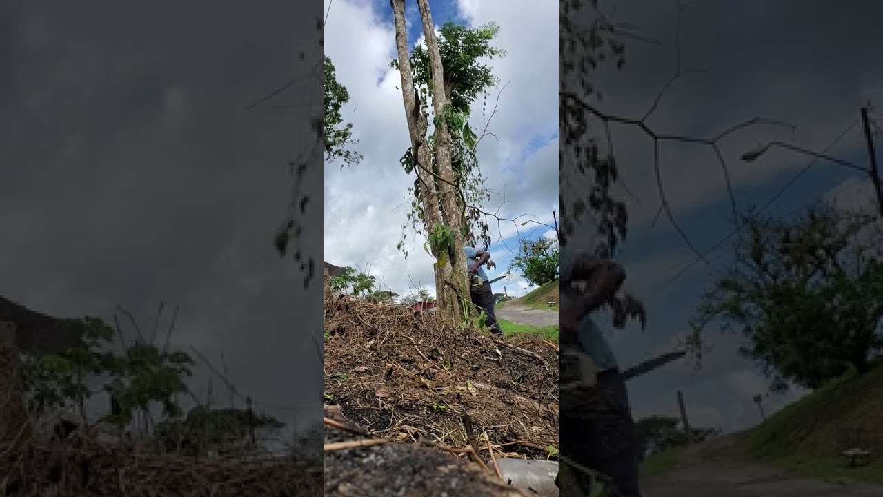 #@$ land cutting (4)