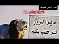 دير الزور وماادراك ماديرالزور شعر عن عشائر دير الزور النشامى دير الرجال الأمم المتحدة الديرية 