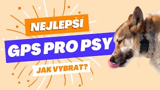 Můj výběr 5 nejlepších GPS pro psy a jak je vybrat? [TEST 2024]