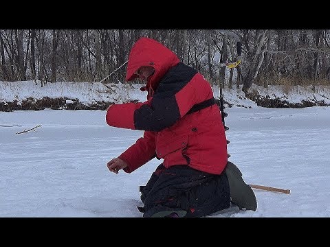 ЩУКА СЕЛА!!!ТАЩИ ЕЕ ВИТАЛЯ!!Судак на балансир! Лещ,окунь,плотва на безмотылку! Рыбалка на Алтае.