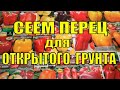 ПОСЕВ ПЕРЦА НА РАССАДУ ДЛЯ ОТКРЫТОГО ГРУНТА. КАК ПОДОБРАТЬ  НУЖНЫЕ СОРТА ПЕРЦА.