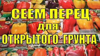 ПОСЕВ ПЕРЦА НА РАССАДУ ДЛЯ ОТКРЫТОГО ГРУНТА. КАК ПОДОБРАТЬ  НУЖНЫЕ СОРТА ПЕРЦА.