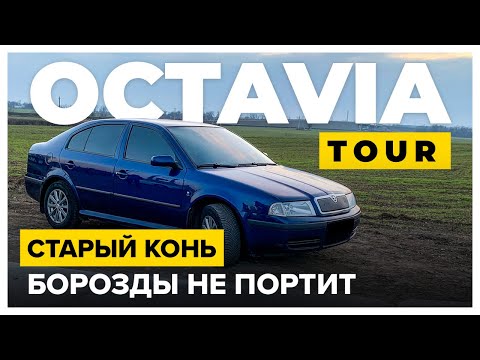Старый конь, борозды не портит - Skoda Octavia Tour 1.9 TDI