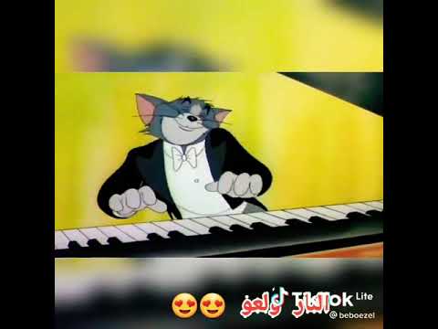 نمشي جبرا والنار ولعو
