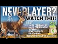 Essential Tips Every New Player Needs in TheHunter: Call of the Wild