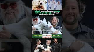 #DireWolf #ExtinctSpecies #ResurrectionScience #Paleontology #AncientCreatures #Scientists