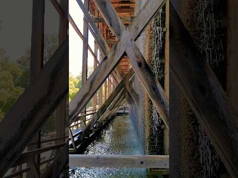 Eine gesunde Sole-Brise