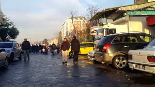 ÇAYELİNE  BİR TÜR ATALIM