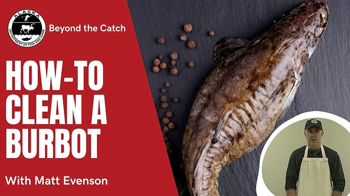 How to Clean a Burbot