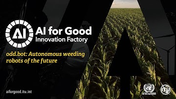 Odd.bot: Autonome onkruidrobots van de toekomst | AI VOOR GOEDE INNOVATIEFABRIEK