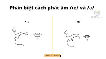 Hướng dẫn phát âm âm /ʊ/ và  âm /u:/ trong tiếng Anh | IELTS Tactics