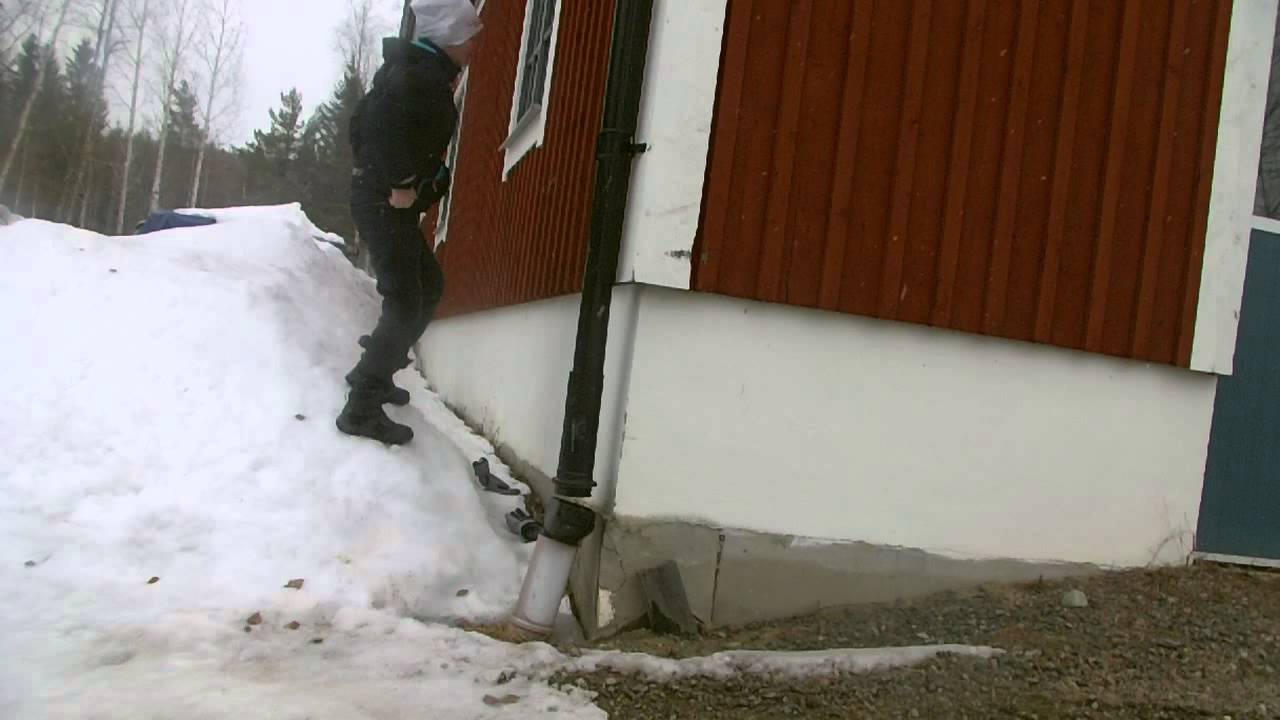 kötbulls krigarna och ska du kissa där 015