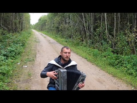 ♫ ♫ Баянист