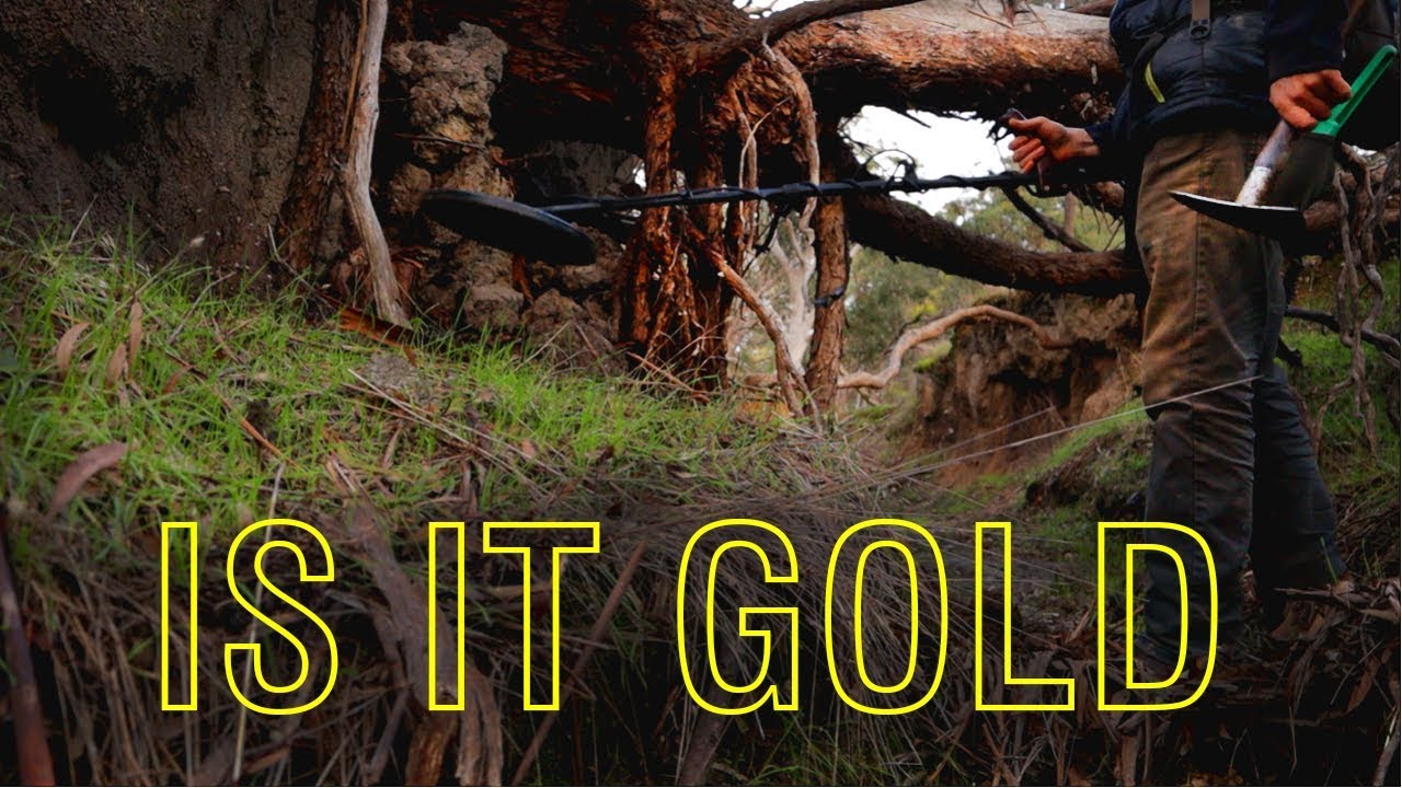 EP16 BIG TARGET in an ANCIENT GOLD creek using a METAL DETECTOR YouTube