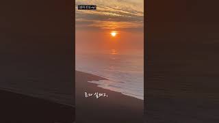 ep16. 썸타는 중 확신없는 말들 #사랑이야기zip  #연애썰  #연애심리  #썸타는중  #이별후폭풍  #공감쇼츠  #연애공감  #감정기복  #사랑이뭐길래  #shorts