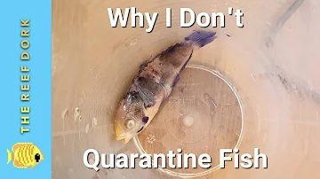 Why I Don't Quarantine, Why You Might Not Want To, And What You Should Do If You Don't