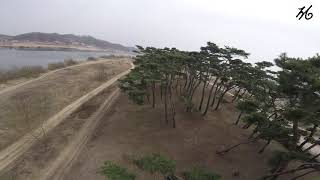 FPV Freestyle : Dance Failure in the Pine Forest