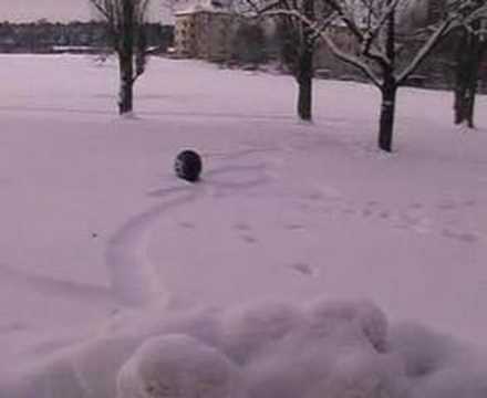 Rotundus spherical robot