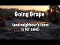 Going Grape, off-grid in Central Portugal (And neighbouring farm for sale!)