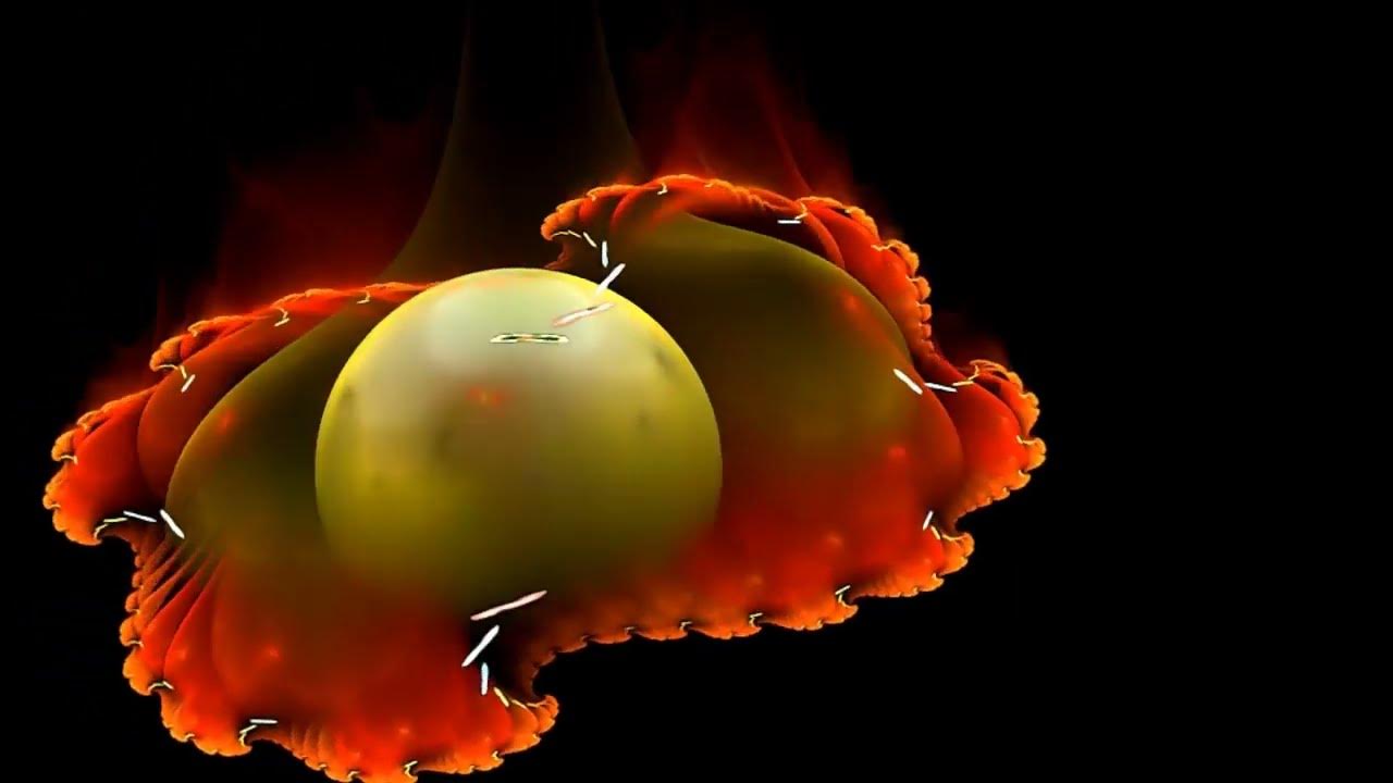 Голодные игры: сойка-пересмешница. Фильм сойка пересмешница 1. Look is fire and. Китнисс эвердин дженнифер лоуренс. Томб райдер огонь.