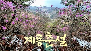 [4K] [춘설하이킹]  장군봉.신선봉.남매탑.상원사.계룡산