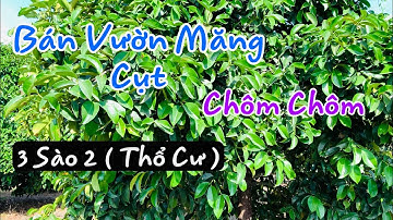 ☘️ Bán 3.269m2 Vườn Măng Cụt Và Chôm Chôm Thái Có 100m Thổ Cư , Tại Xã Xuân Tây , Huyện Cẩm Mỹ - ĐN