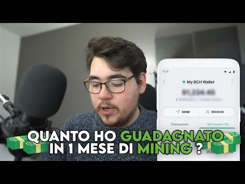 QUANTO HO GUADAGNATO DOPO 1 MESE DI MINING ? | Progetto Mining Farm 2021 #7