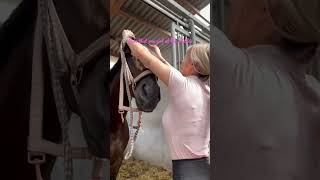 Barbie power 👸🏼💗 #equestrian #horse #horseriding