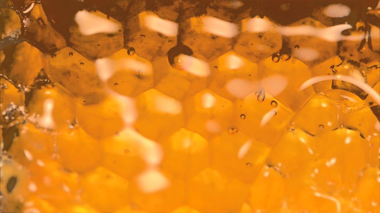 Golden Queen Bee Beer YouTube