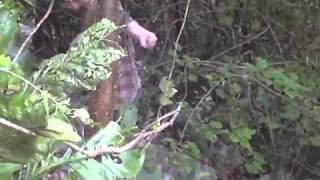 Yucatan Adventure Trailer 2011