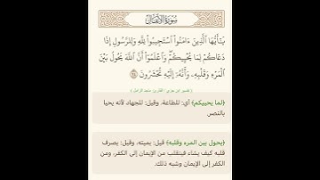 القارئ ماجد الزامل @