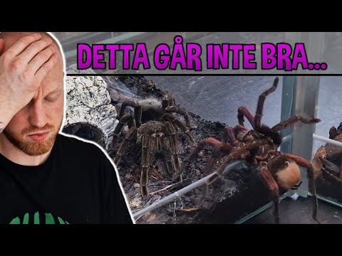 DEL 2 -