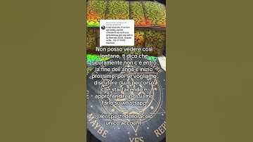 Pendulum Oracle Answers Pregnancy Questions Risposta a Depalmas #gravidanza #pendolo