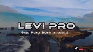 Non Stop// GOSPEL PRAISES SEBEN INSTRUMENTAL