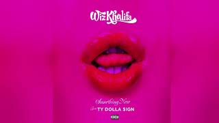 Wiz Khalifa ft Ty Dolla $ign - Something New (Clean) Resimi