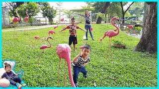น้องบีมลูกแม่บี | เที่ยวกาญจนบุรี สวนสัตว์ค่ายสุรสีห์ Zoo คลิปเต็ม