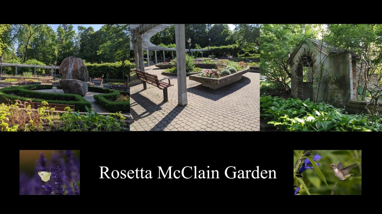 A Blissful Day in Rosetta McClain Garden
