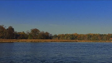 Thumbnail of Wir (Mix)