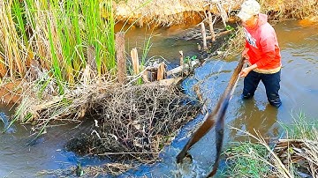 Removing Dam Drainage - Unclogging Canal Drain Water