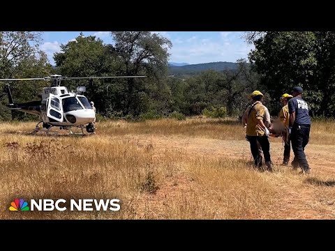 California woman found